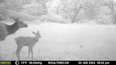 Lot E Flanders Subdivision, Driftwood, PA 15832 - photo 2