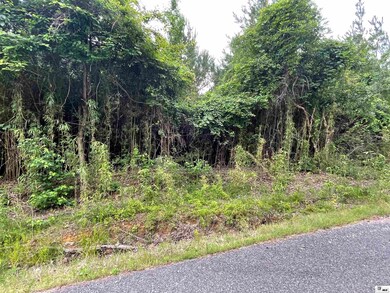 00 Kelley Rd, Quitman, LA 71268 - photo 4