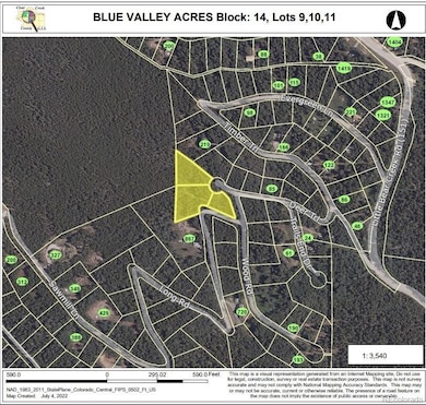 0 Lot 9 10 & 11 Deer Trail Rd unit REC5141186, Idaho Springs, CO 80452 - photo 3