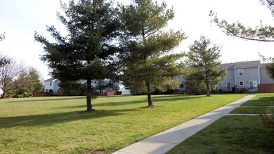 Walk View