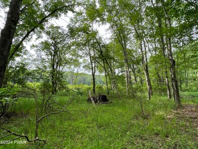 0 Westcolang Rd, Lackawaxen, PA 18435 - photo 6