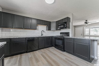 332 Welch Dr, Lincoln, IL 62656 - photo 5