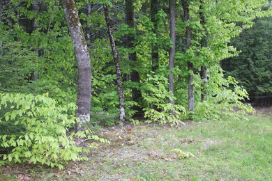 IMG_0120