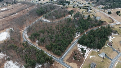 72 Grandview Dr, Lansing, NY 14850 - photo 6