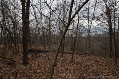 65311 Chaffin Ridge Rd, Proctor, OK 74457 - photo 4