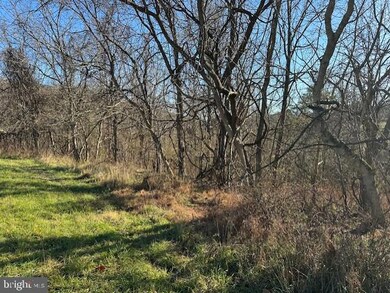 Lot 2 Garretts Mill Rd, Garretts Mill, MD 21758 - photo 4