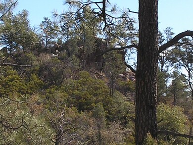 P1010003 (1)