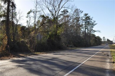 24182 Highway 22, Ponchatoula, LA 70454 - photo 3