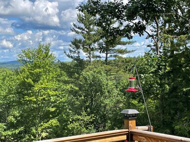 291 Webster Mills Rd, Pittsfield, NH 03263 - photo 3