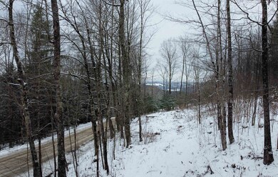 431 Bible Hill Rd, Saint Johnsbury, VT 05819 - photo 4