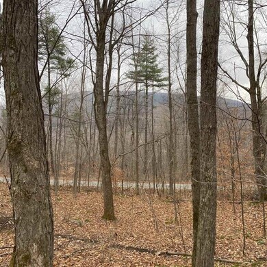 0 Read Farm Ln unit 4839074, Dorset, VT 05253 - photo 4