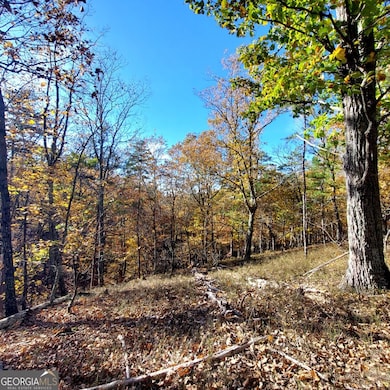 0 Mckibben Rd unit 10623982, Buchanan, GA 30113 - photo 7