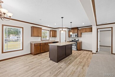 113 N Oak St, Hoffman, IL 62250 - photo 6