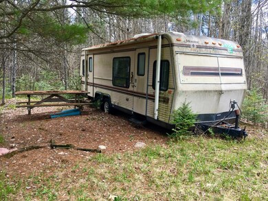 W9081 Hwy 86, Tomahawk, WI 54487 - photo 2