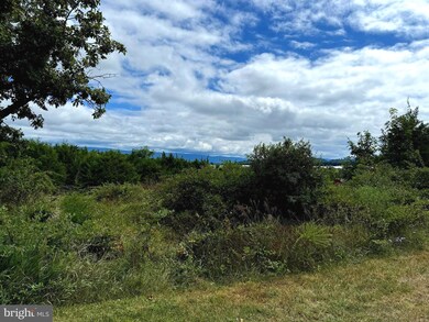 425 Wisteria Ln, Old Fields, WV 26845 - photo 4