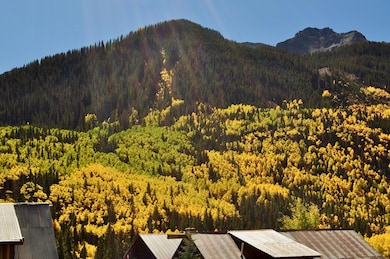 0 Aurum St unit 1-8, Ophir, CO 81426 - photo 5