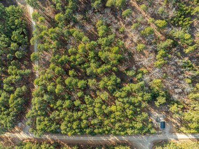 Lot 17 Phase 1, Tuskahoma, OK 74574 - photo 6