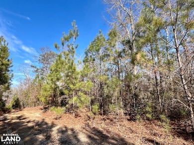 0 Old Claiborne Rd unit 25514029, Thomasville, AL 36784 - photo 5