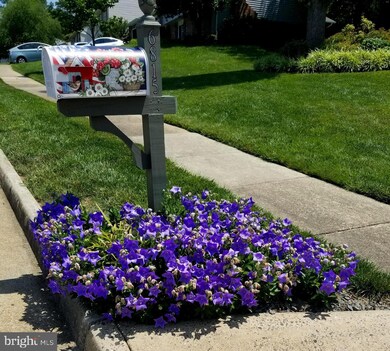 6815 Rock Creek Ct, Alexandria, VA 22306 - photo 3