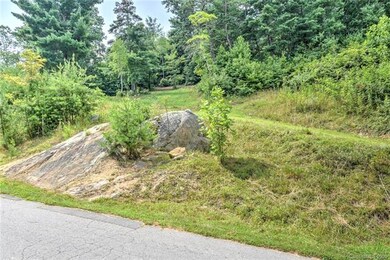 81 Magnolia Farms Dr unit 15, Asheville, NC 28806 - photo 4