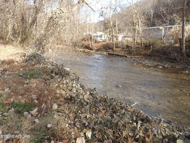 85 Bairds Ln, Evarts, KY 40828 - photo 7