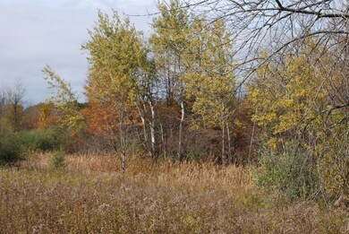 3125 W 1000 N, Potawatami Park, IN 46360 - photo 4