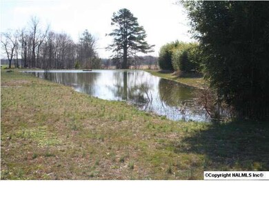 CATFISH POND