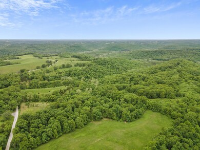 41-web-or-mls-20220517-DJI_0124