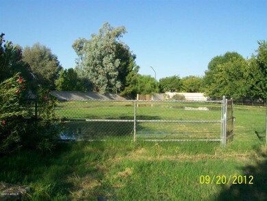 Pasture view 2.