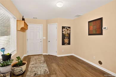 5564 Gibraltar St, Denver, CO 80249 - photo 6