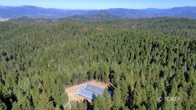 1050 Rowdy Bear, Hayfork, CA 96041 - photo 3