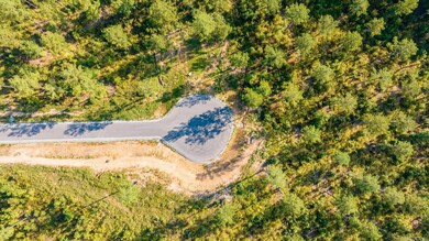 2048 Canyon Creek Pkwy, Benton, AR 72019 - photo 6