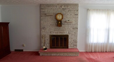 Living Room Fireplace
