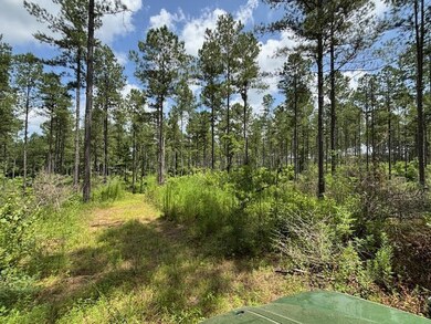 182 Highway 44, Jayess, MS 39641 - photo 4