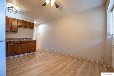 11501 Richland Dr unit 4, Omaha, NE 68138 - photo 4