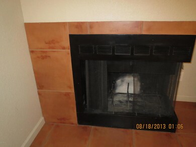 Wood Burning Fireplace