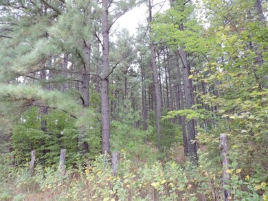 tbd Mountain Valley Rd, Axton, VA 24054 - photo 3