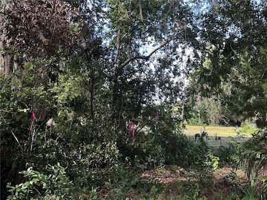 722 Highway 40 W, Inglis, FL 34449 - photo 6