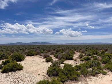 20230612173127377502000000-o-2