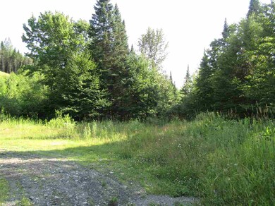 - Meadow View Dr, Pittsburg, NH 03592 - photo 4