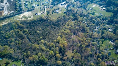 25547 Juban Rd, Denham Springs, LA 70726 - photo 7