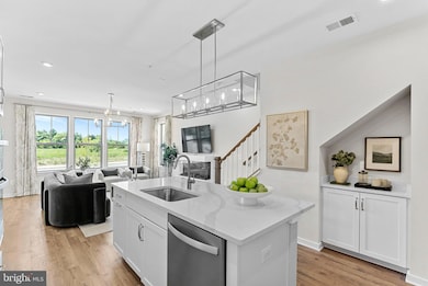 6 Sepia Square unit MO, Belmont, VA 20147 - photo 4