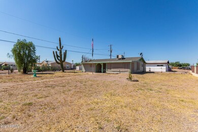 06-Ocotillo