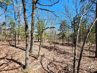 46.1 No Physical Address, Wister, OK 74966 - photo 7