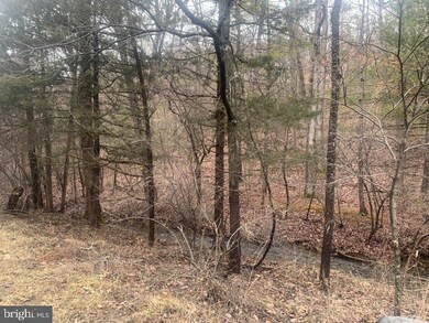 TBD Supinlick Ridge, Edinburg, VA 22824 - photo 3