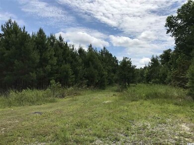 Lot 1 Chow Ln, Conway, SC 29526 - photo 3
