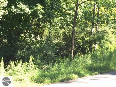 00_VL_12 S Ogemaw Trail unit 12, West Branch, MI 48661 - photo 3