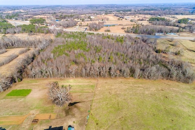 10.23 Acres Alabama 157, Town Creek, AL 35672 - photo 5