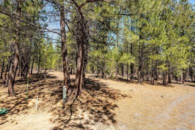 16-web-or-mls-4-28-25 51861 Knob Cone La