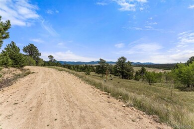 194 Rawhide Way, Como, CO 80432 - photo 3